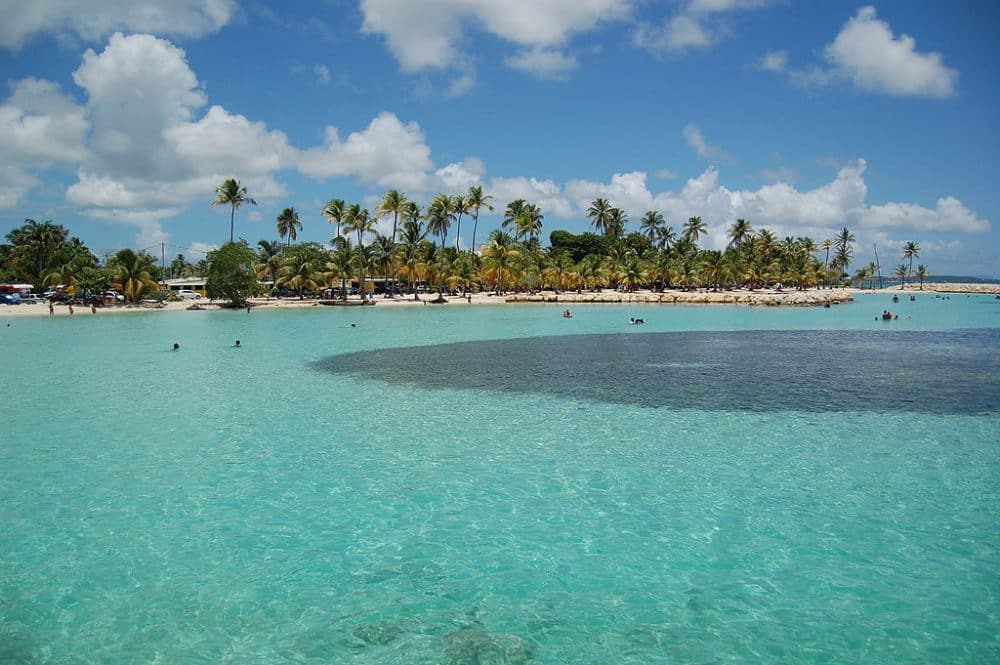 Les 5 plages incontournables de Guadeloupe – proche de notre logement AYNO